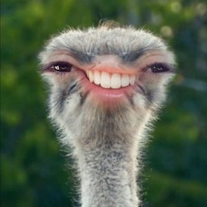 Meet your Posher, Max